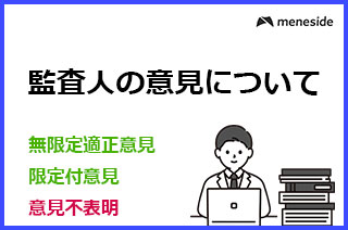 監査人の意見について